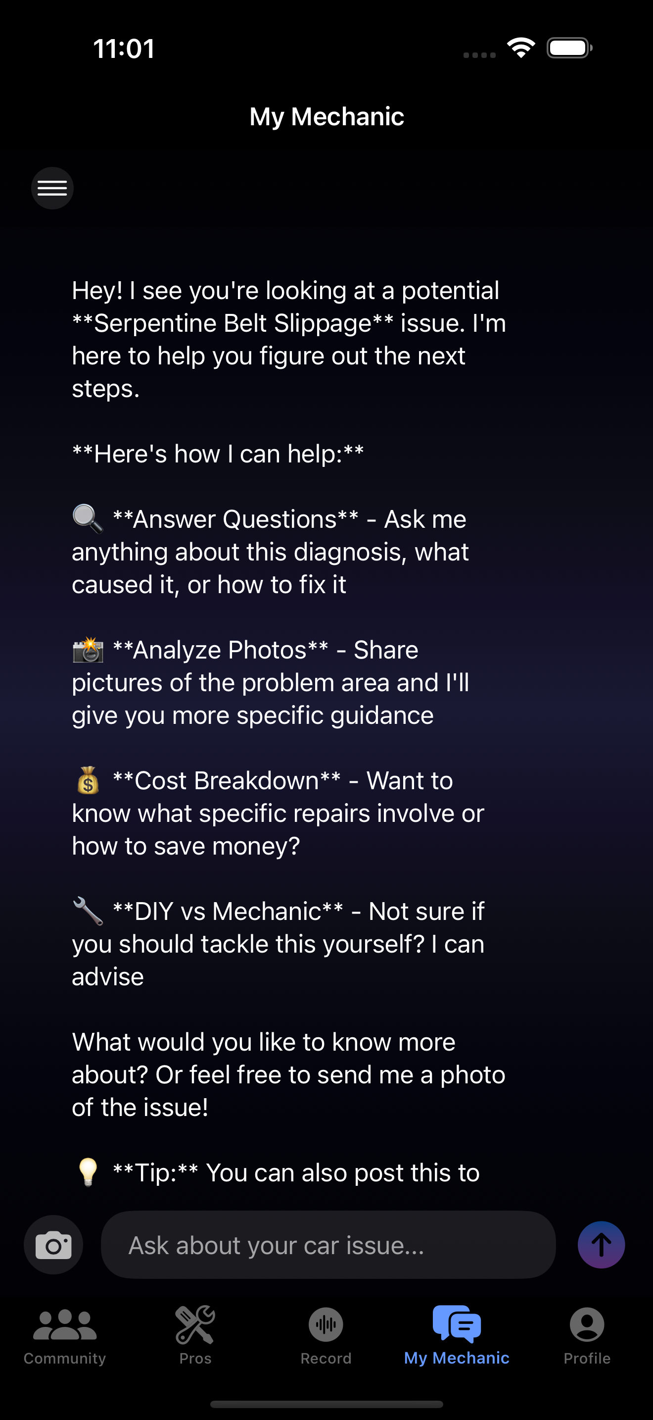 DriveVerse My Mechanic AI Assistant